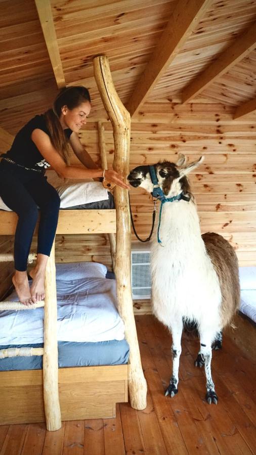 Вілла Cozy Wood Hut On The Farm Trebivlice Екстер'єр фото